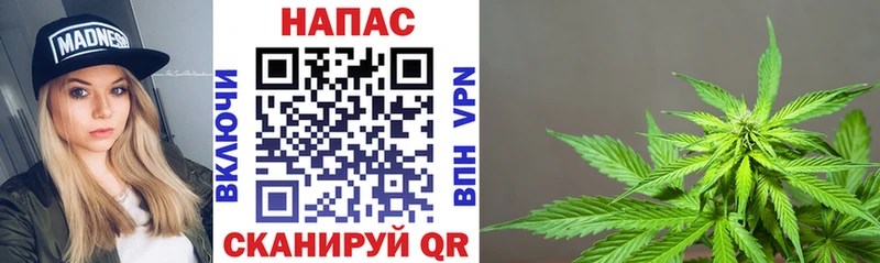 Канабис марихуана Горячеводский